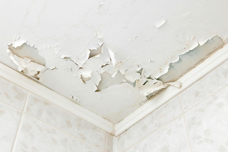 Drywall and Paint Durability
